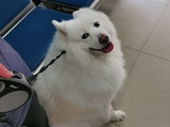 -申普宠物医院·眼科·心内科·影像科(普陀分院)