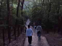 -紫金山山顶公园