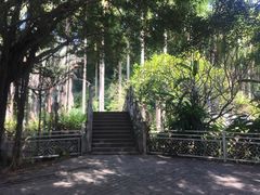 -滴水岩森林公园