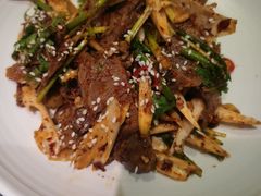 夫妻肺片-懒人盐府人家(航天桥店)