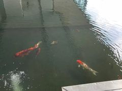 -马哥孛罗咖啡厅·Cafe Marco (厦门马哥孛罗东方大酒店)