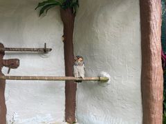 -吉隆坡雀鸟公园