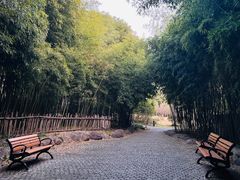 -新虹桥中心花园