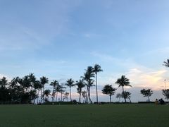 -圣淘沙天际线斜坡滑车