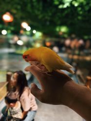 -酷嗒动物文化乐园(cutezoo西溪乐天城店)