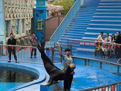 -华夏文旅海洋公园