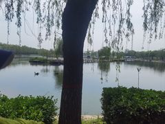 -白洋淀景区