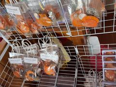 -蓝湾碧波·老字号·疍家非遗海上餐厅