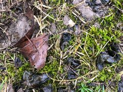 -苏州河梦清园环保主题公园