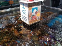 -盒马X会员店(王府井奥莱UP TOWN店)