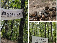 -六里坪国家森林公园
