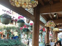 -民食香·腊排骨野生菌美食(木府店)