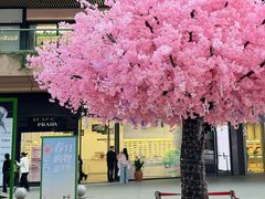 -砂之船奥莱(南京江宁店)