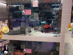 -FAELING PETS美天灵宠物(富力广场店)