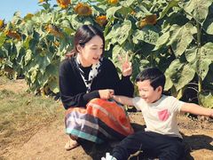 -艾溪湖湿地公园