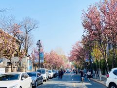 -天津五大道文化旅游区