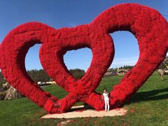 -北纬44度·金珠花海休闲农业旅游景区