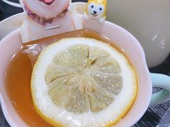 -逗柴咖啡屋·狗咖猫咖宠物桌游