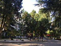 -贵州师范大学(宝山北路校区)