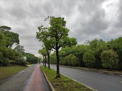-上海崇明金茂凯悦酒店