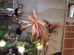 -湊湊火锅·茶憩(皇姑万象汇店)