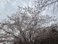 -郑州植物园