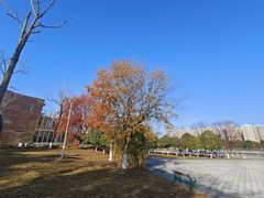 -白塘生态植物园