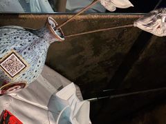 -红辣椒·川菜·火锅(张杨路店)