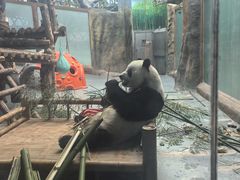 -青藏高原野生动物园