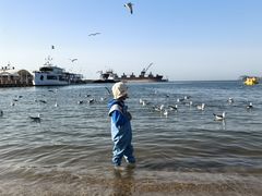 -海驴岛(荣成市)