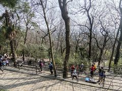 -上海佘山国家森林公园西佘山园