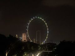 -新加坡摩天观景轮