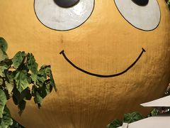 -一品烧农庄·佛山本地特色菜