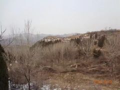 -原山国家森林公园