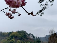 -重庆园博园