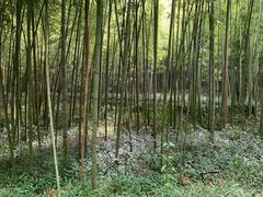 -苏州环秀晓筑养生度假村