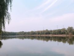 -羊山湖公园