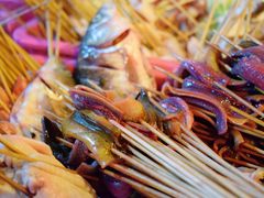 鳝鱼-晓靖轩烧烤(沙河风情店)