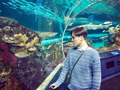 -瑞普利水族馆