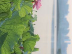 -北山街历史文化街区
