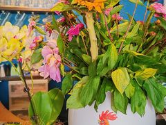 -绝城芋儿鸡(犀浦旗舰店)