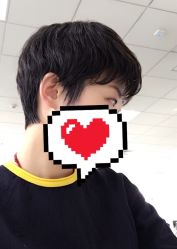 -大象造型
