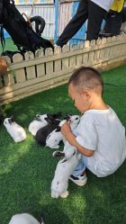 -萌宠亲子动物乐园(槐房万达店)