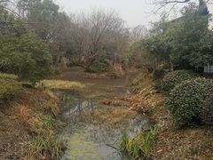 -和茶馆(西溪栖悦城店)