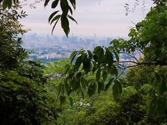 -火炉山森林公园