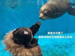 -泉城欧乐堡海洋极地世界