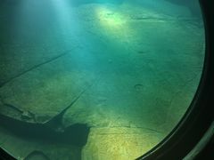 -白鹤梁水下博物馆