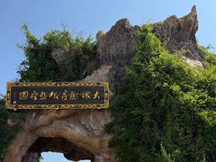 -大槐树寻根祭祖园