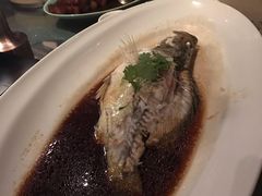 清蒸鲑鱼-夜上海(新天地店)