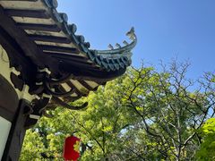 -江心屿景区